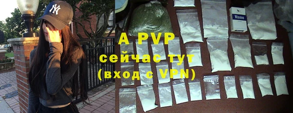 прущие грибы Абдулино
