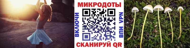 Галлюциногенные грибы мухоморы  блэк спрут ссылка  Челябинск  где можно купить наркотик 